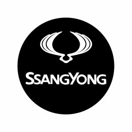 Nálepky na kolesá SsangYong 5,5cm chróm